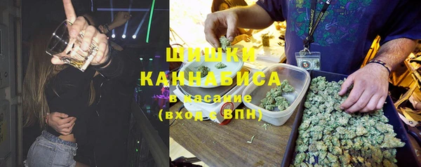 стафф Осинники