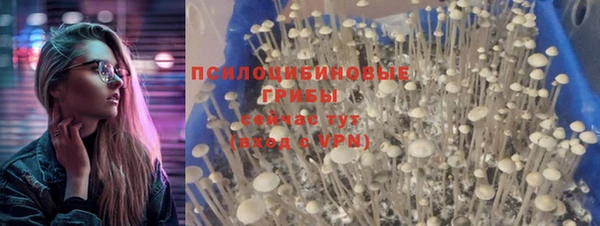 дурь Осташков