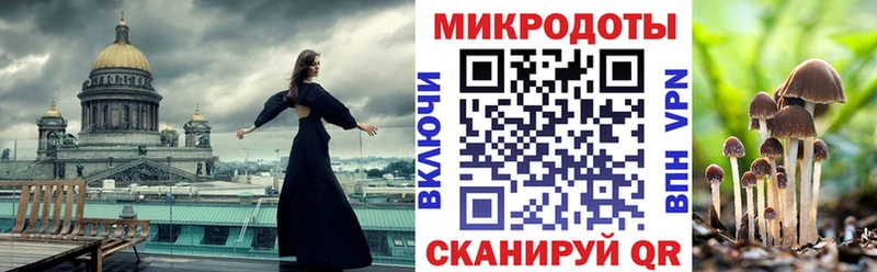 Псилоцибиновые грибы мицелий  Купить закладки  Шацк 